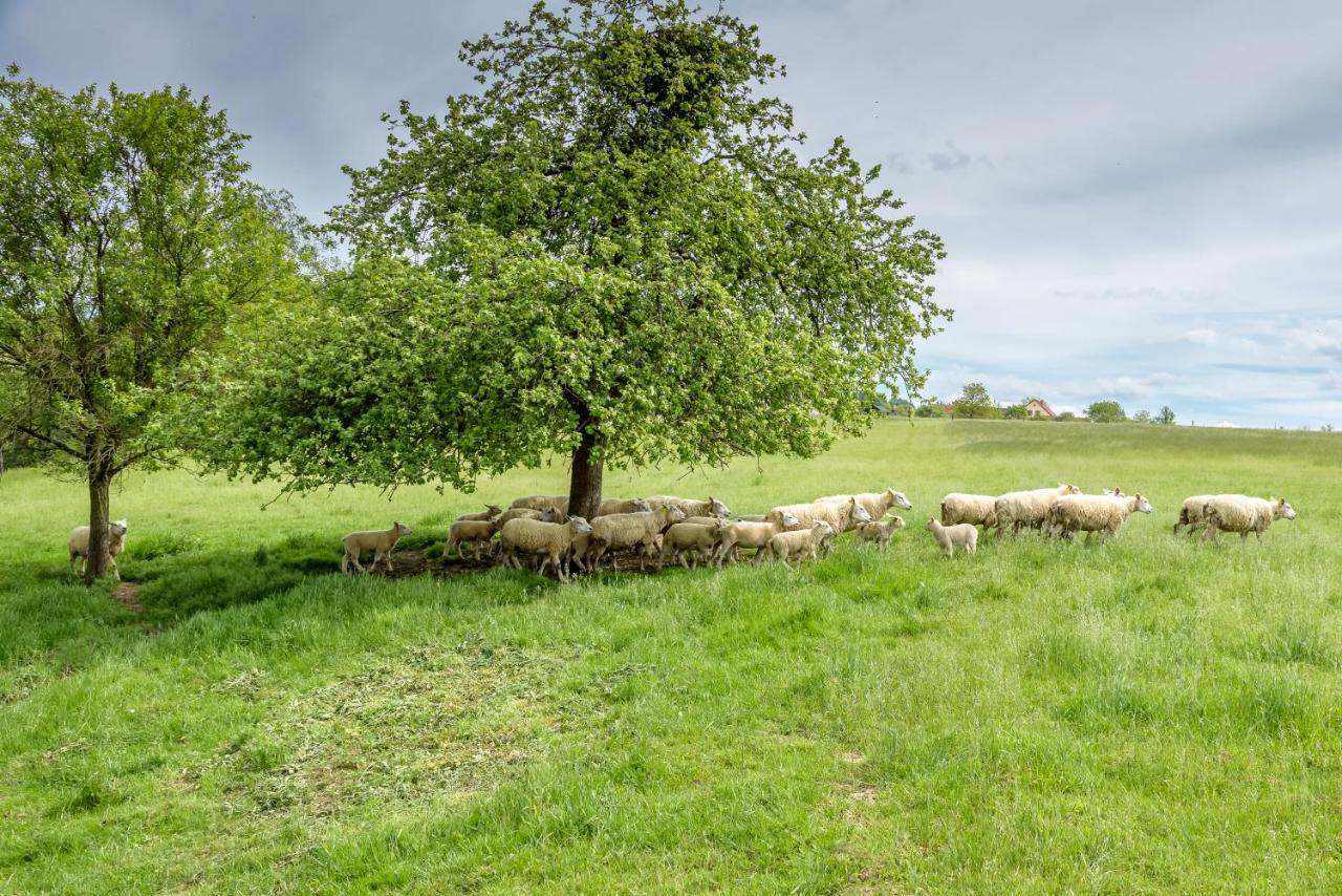 Agroturistika - "Domecek U Ovecek" Villa Horní Těrlicko Exterior foto