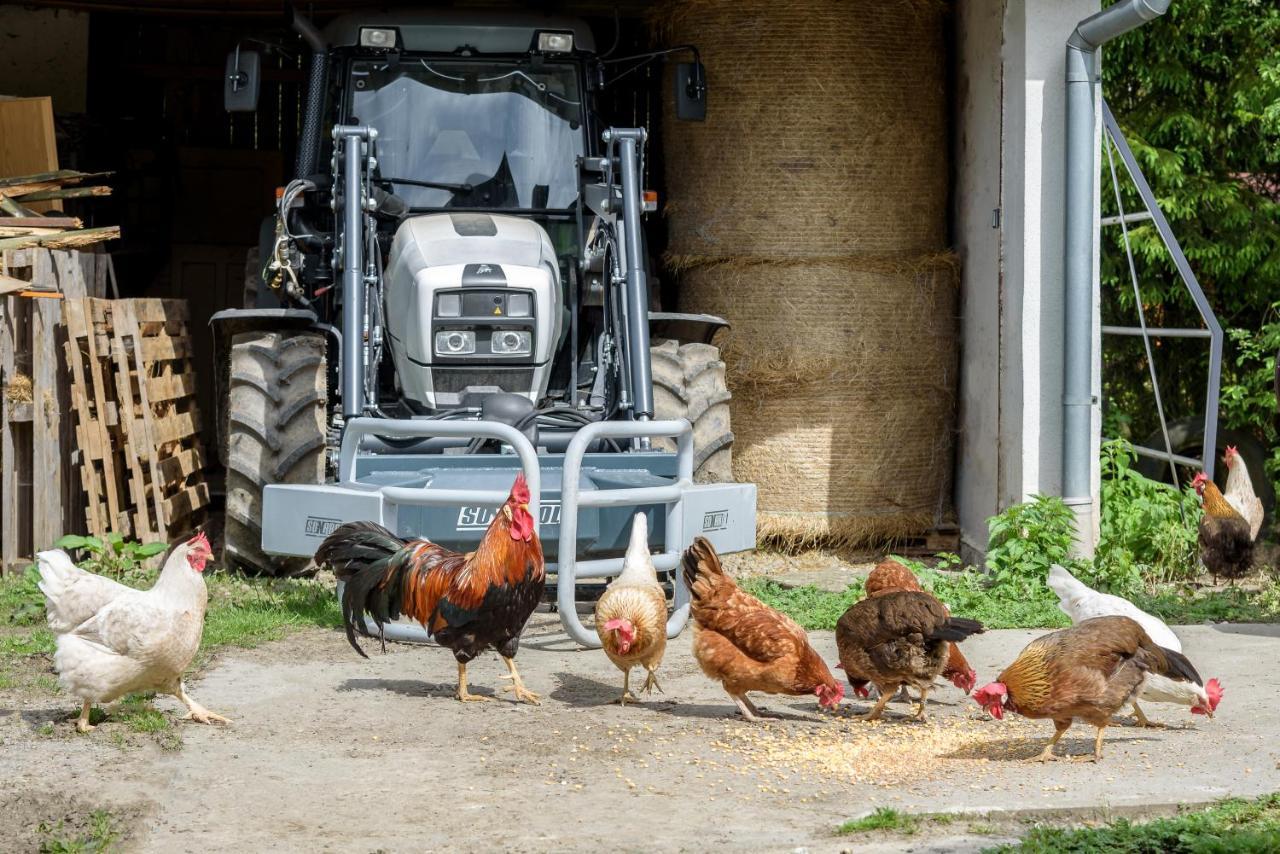 Agroturistika - "Domecek U Ovecek" Villa Horní Těrlicko Exterior foto